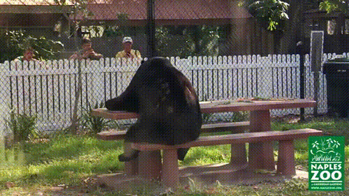 Seems good Couple having picnic gif out Accept. Couple having picnic gif You